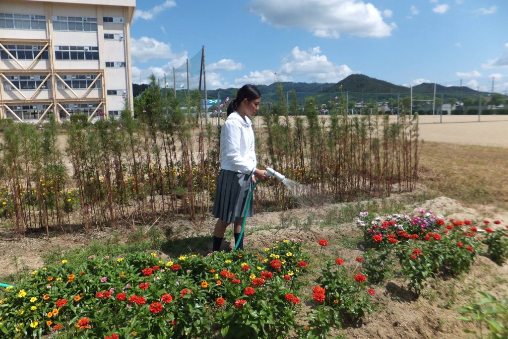 学校を花いっぱいに