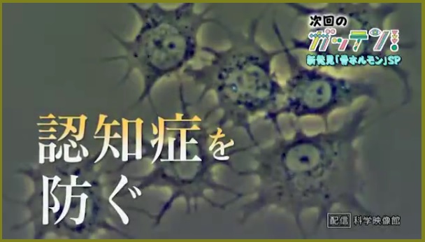 ガッテン