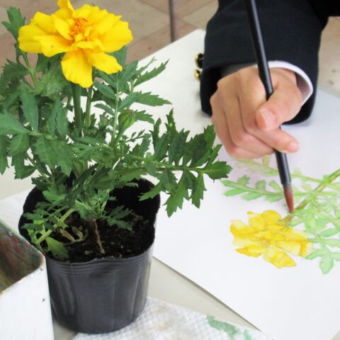 美術部　水彩画実習で花を描きました。