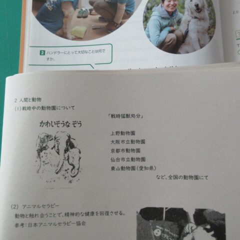 動物と人間の関わり方　～『ゾウのはな子』を読んで～　【英語科】